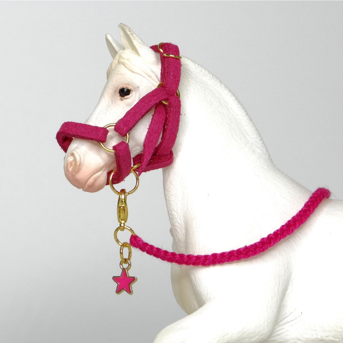 1:24 Halter with Braided Lead Star Charm