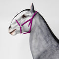 1:6 Halter