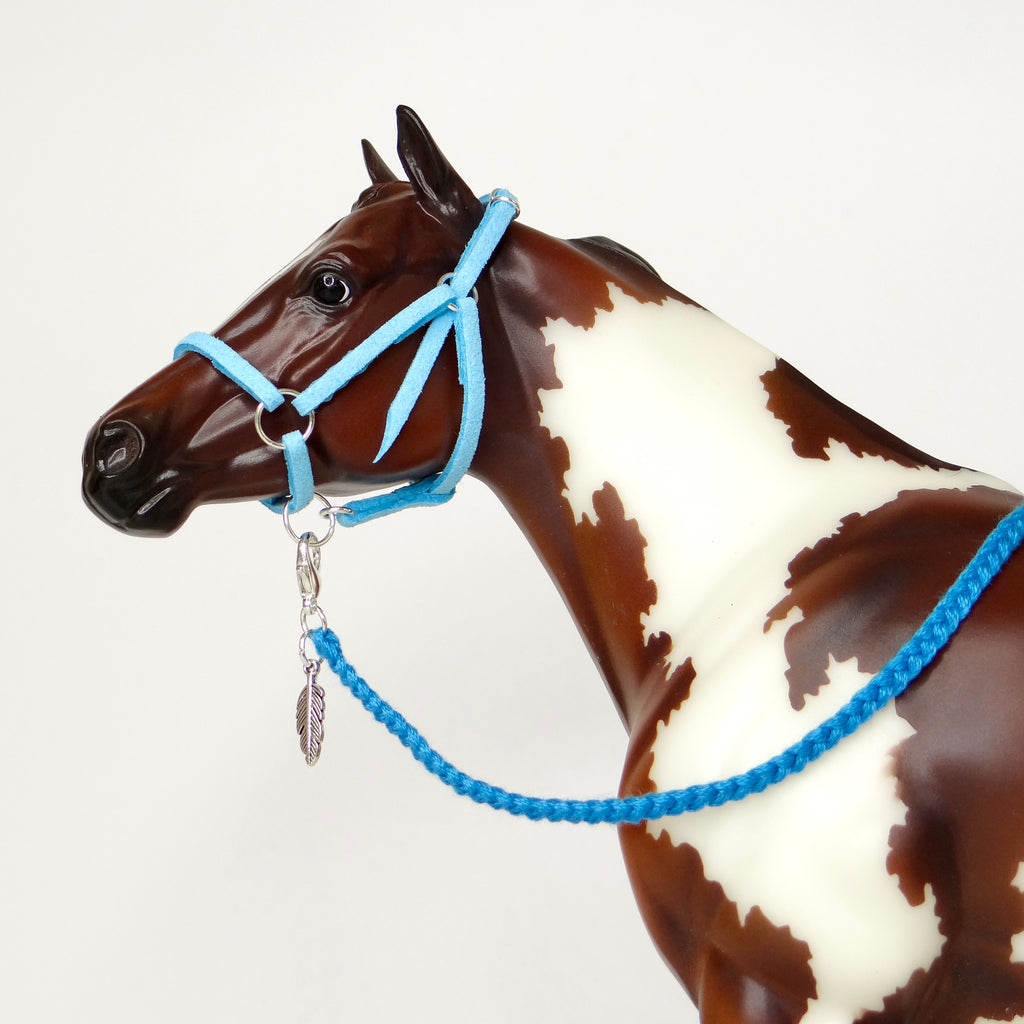 1:9 Halter with Charm