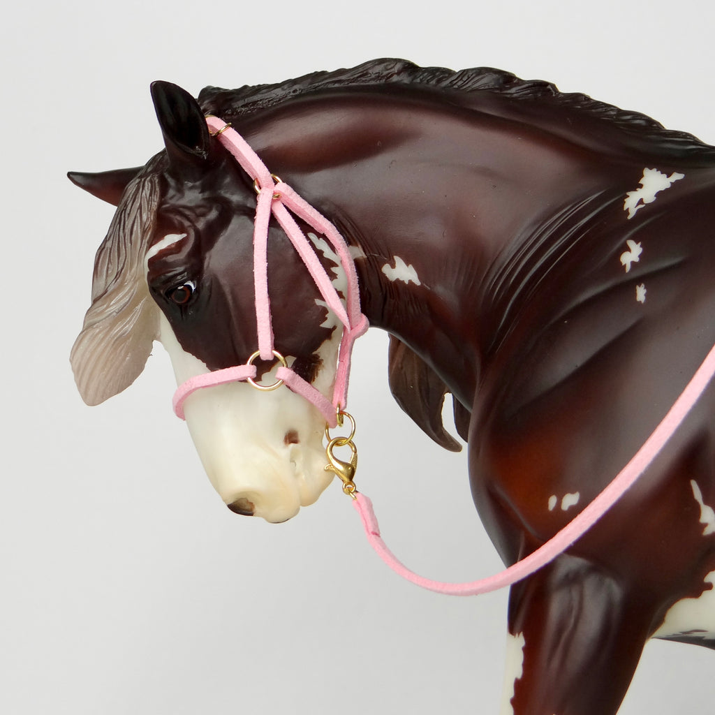 1:9 Halter with Faux Leadrope