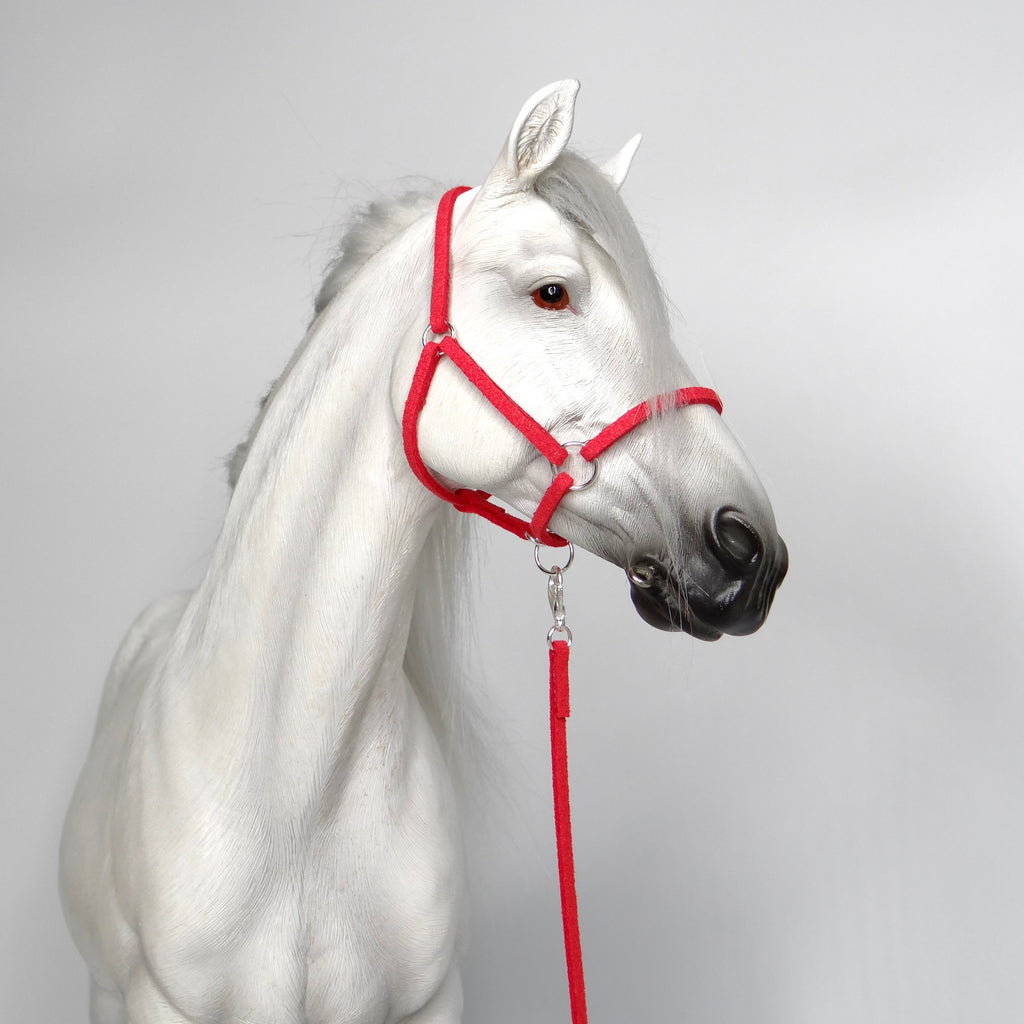 1:6 Halter and Faux Leadrope