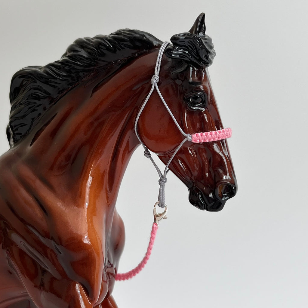 1:9 Rope Halter with Braided Nose/Lead