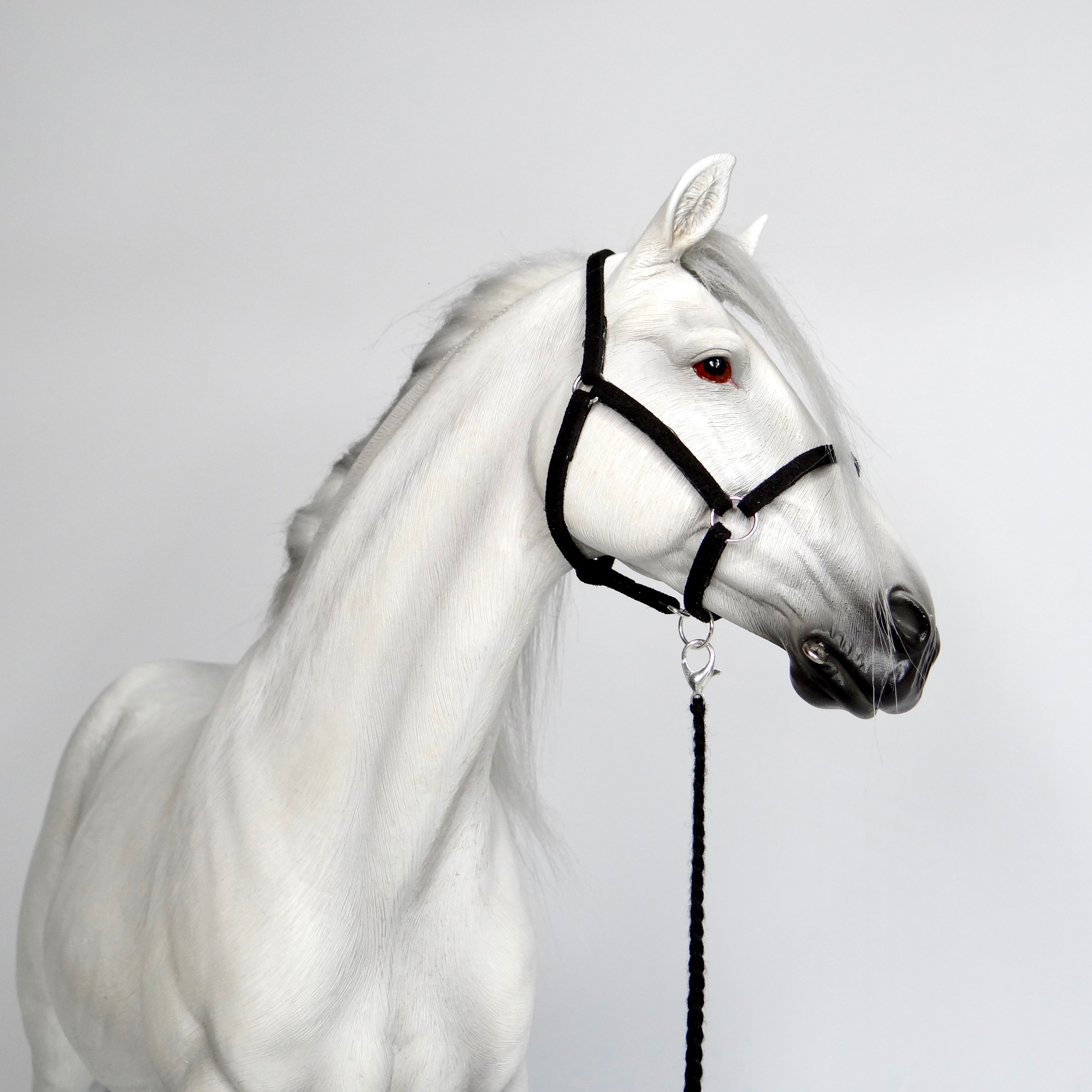 1:6 Black Halter Embroidery Lead