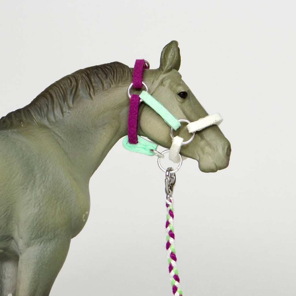 1:24 Three Colour Halter with Braided Lead