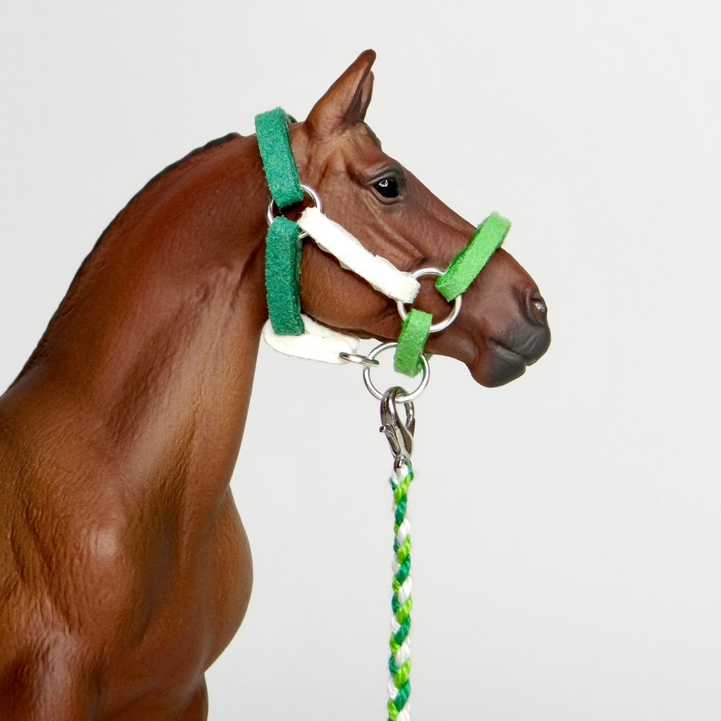 1:24 Three Colour Halter with Braided Lead