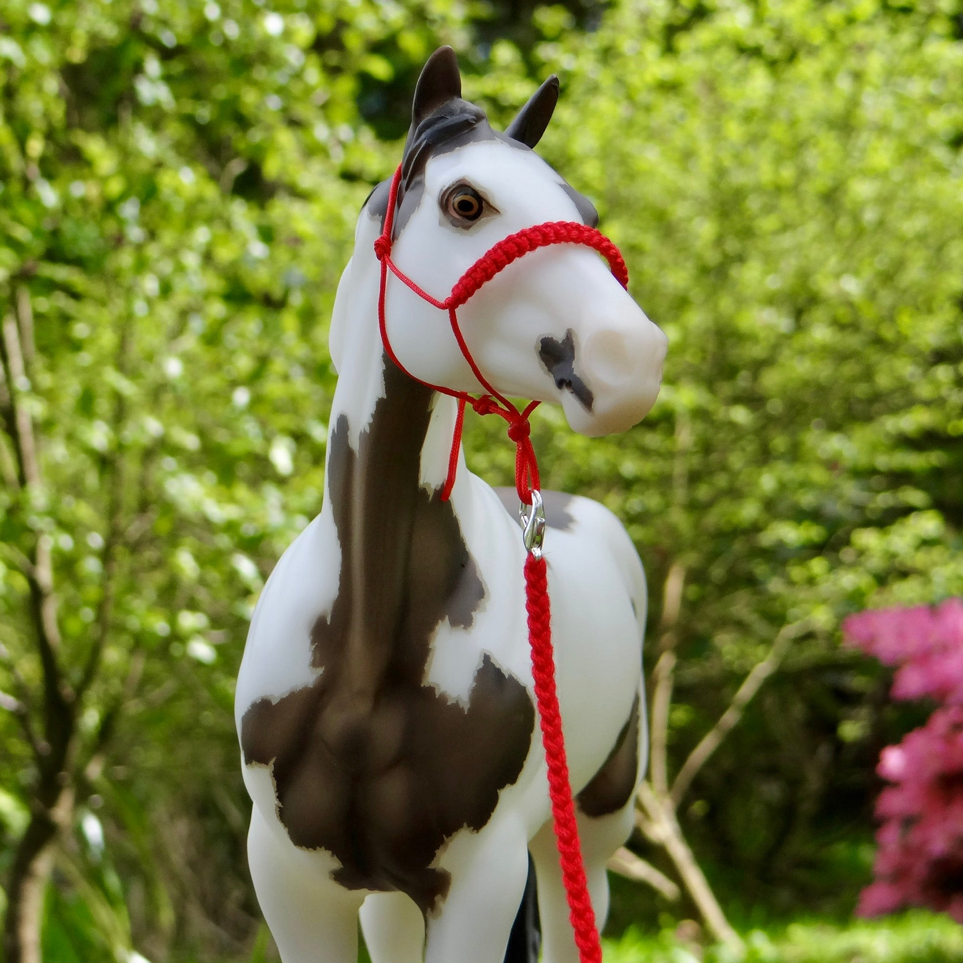 1:9 Rope Halter with Braided Nose/Lead