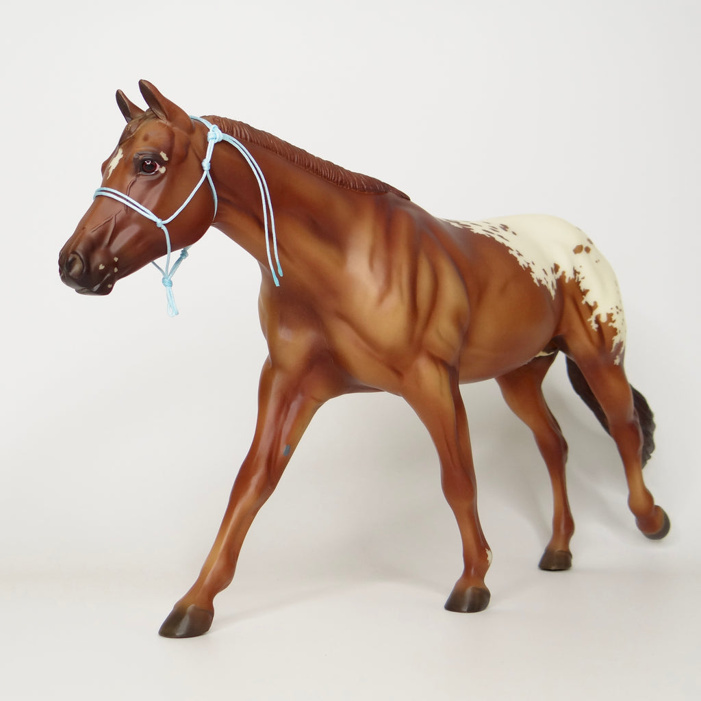 1:9 Rope Halter