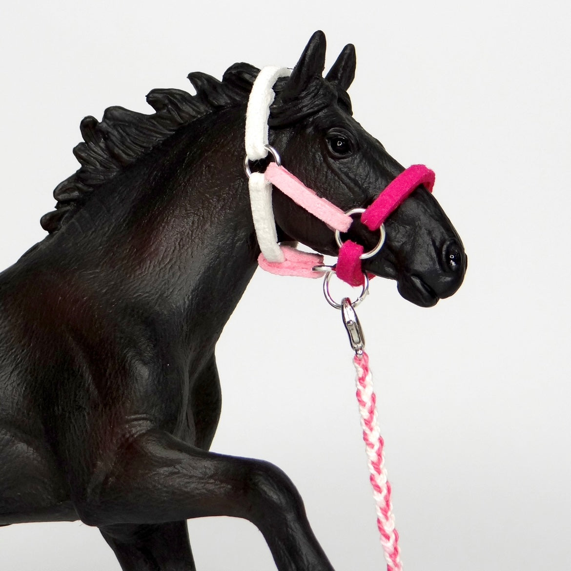 1:24 Multi Colour Halter with Braided Lead
