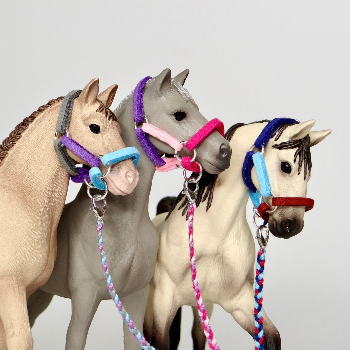 1:24 Three Colour Halter with Braided Lead